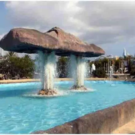 Oasis *