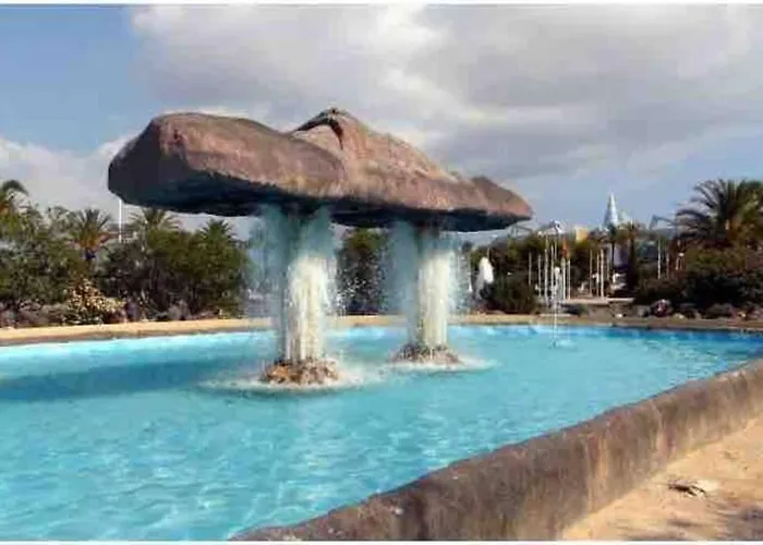 Oasis *
